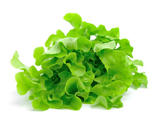 fresh green lettuce leaves isolated on white