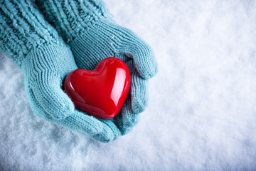 Woman hands in light teal knitted mittens are holding a beautifu