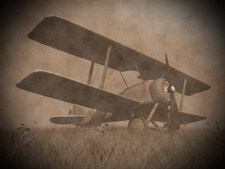 Wall Mural - Biplane on the grass - 3D render