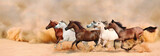 Fototapeta Panele - Herd gallops in the sand storm