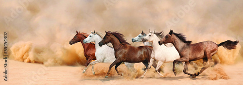 Naklejka dekoracyjna Herd gallops in the sand storm