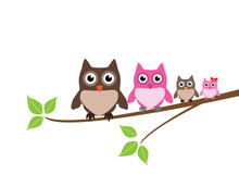 Vector Cute Owl Family