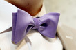 the bow tie
