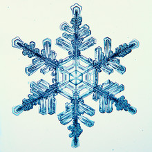 Natural Crystal Snowflake Macro