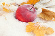 Red apple in snow close up