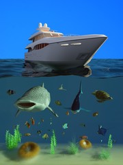 Poster - Marine life