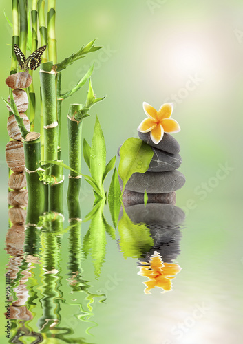 einzelne bedruckte Lamellen - composition nature détente, bambou zen et galets (von Unclesam)