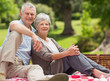 © WavebreakmediaMicro - Senior couple with picnic basket at park