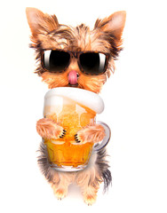 Wall Mural - drunk dog with beer