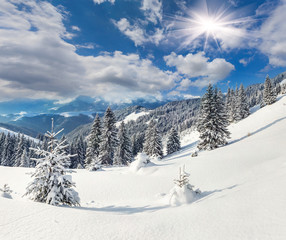 Beautiful winter landscape in the Carpathian mountains