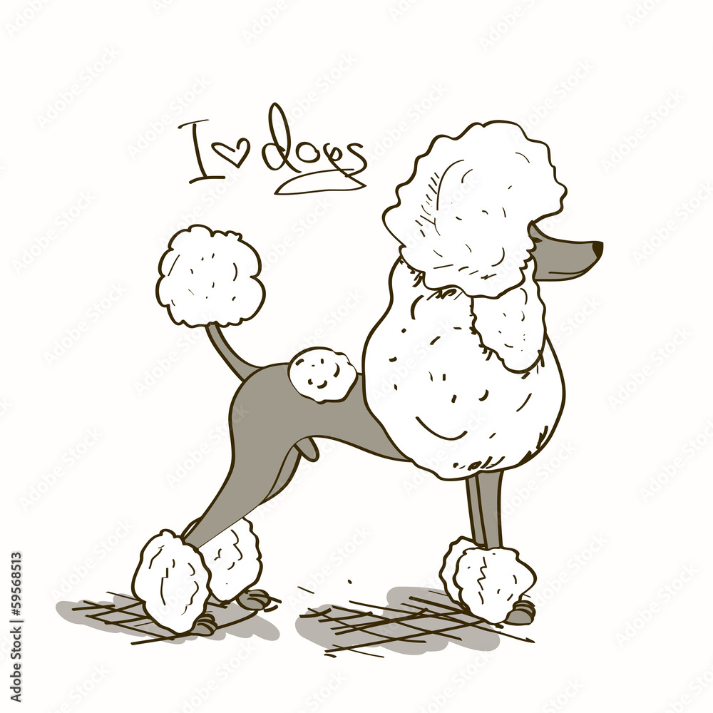 Illustration with Poodle dog Stock Vector | Adobe Stock
