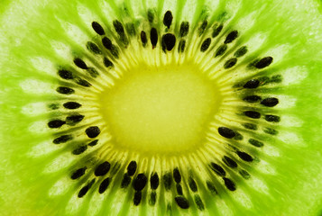 Sticker - Kiwi