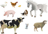 Fototapeta  - Farm animals