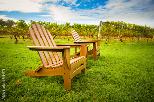 Fotografie, Obraz Adirondack style chair on lawn of vineyard