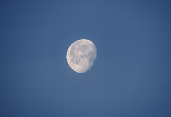 Poster - moon on a morning sky