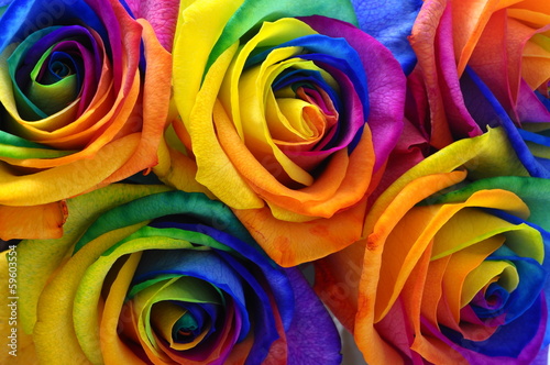 Naklejka na szybę Rainbow rose or happy flower