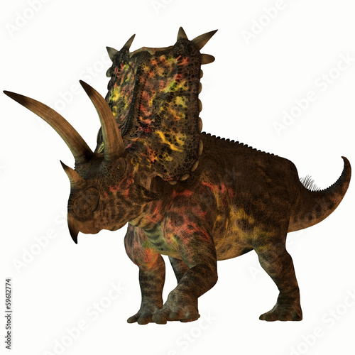 Fényképezés  Pentaceratops on White