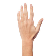 back side of a woman hand