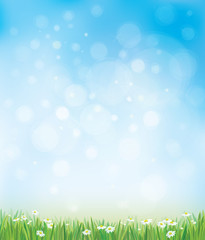 Wall Mural - vector sky background with grass and chamomiles.