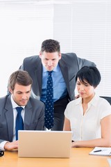 Wall Mural - Colleagues using laptop at office desk