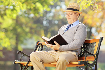 Wall Mural - Senior man with hat sitting on bench and reading a book outside