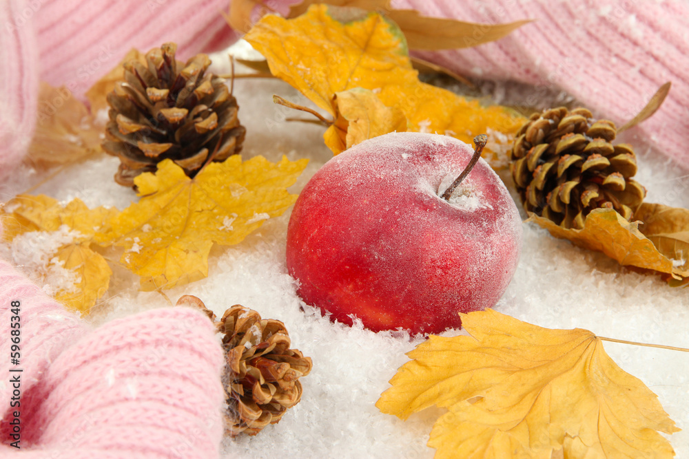 Red apple in snow close up
