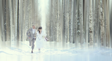 Wall Mural - bride and groom in forest