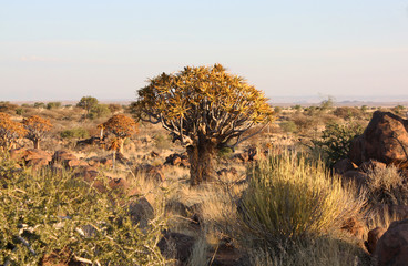 Afrikanische Landschaft