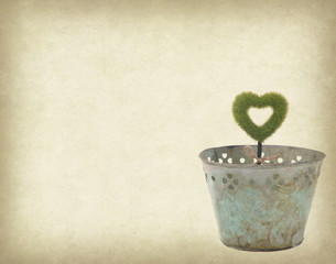 heart shape plant glow in metal garden pot  on grunge textured b