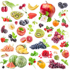 Wall Mural - Collections of fruits isolated on white background