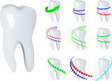 Fototapeta  - Healthy teeth symbols