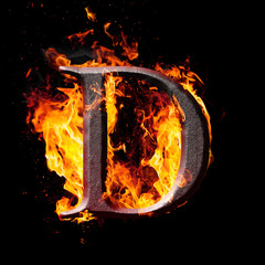 Fototapete - High res iron letter D illustration in fire on black background