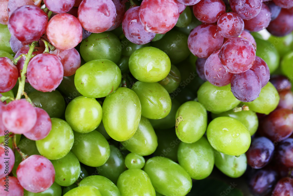 Ripe green and purple grapes close-up background
