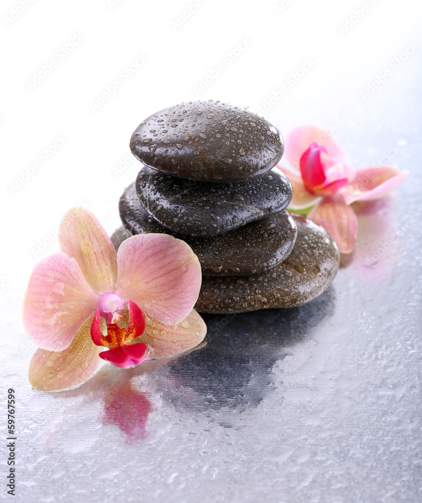 Composition with beautiful blooming orchid with water drops and