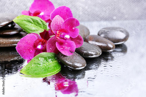 Naklejka nad blat kuchenny Orchidea na czarnych kamieniach w kroplach wody - ZEN