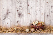 Easter Eggs On Wood
