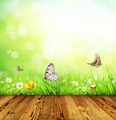 Wall Mural - Spring concept with wooden planks