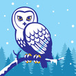 owl in the winter season