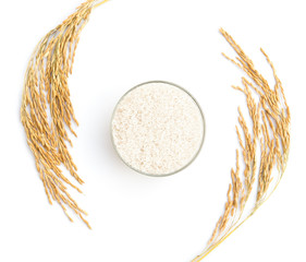 rice and paddy on a white background