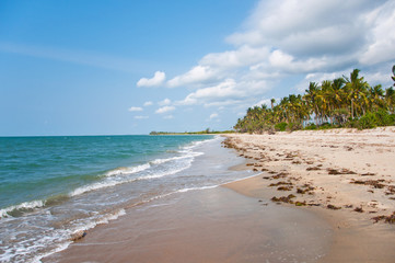 beach on the indian ocean in africa