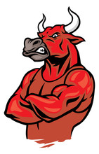 Bull In Crossed Arm Pose And Showing The Muscles
