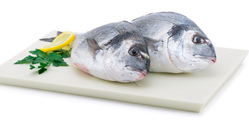 Wall Mural - Fresh sea bass on plate isolated on white background