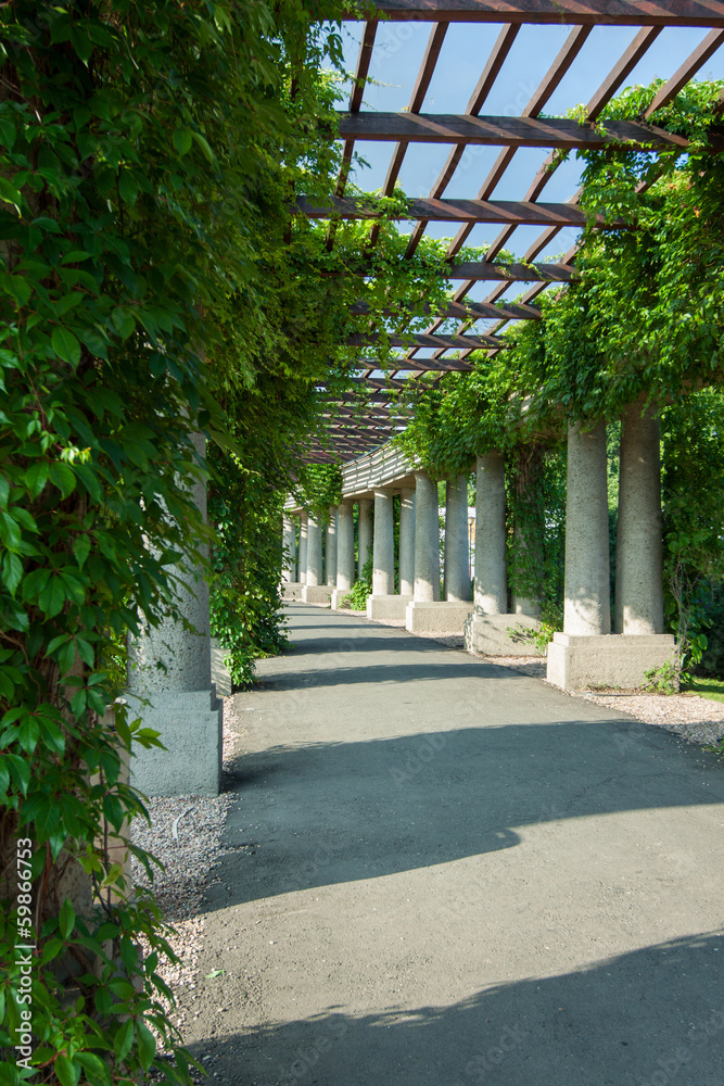 pergola-wroclaw-polska