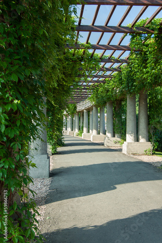 Fototapeta na wymiar Pergola Wrocław - Polska