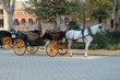 horse and traditional tourist carriage in Sevilla Spain