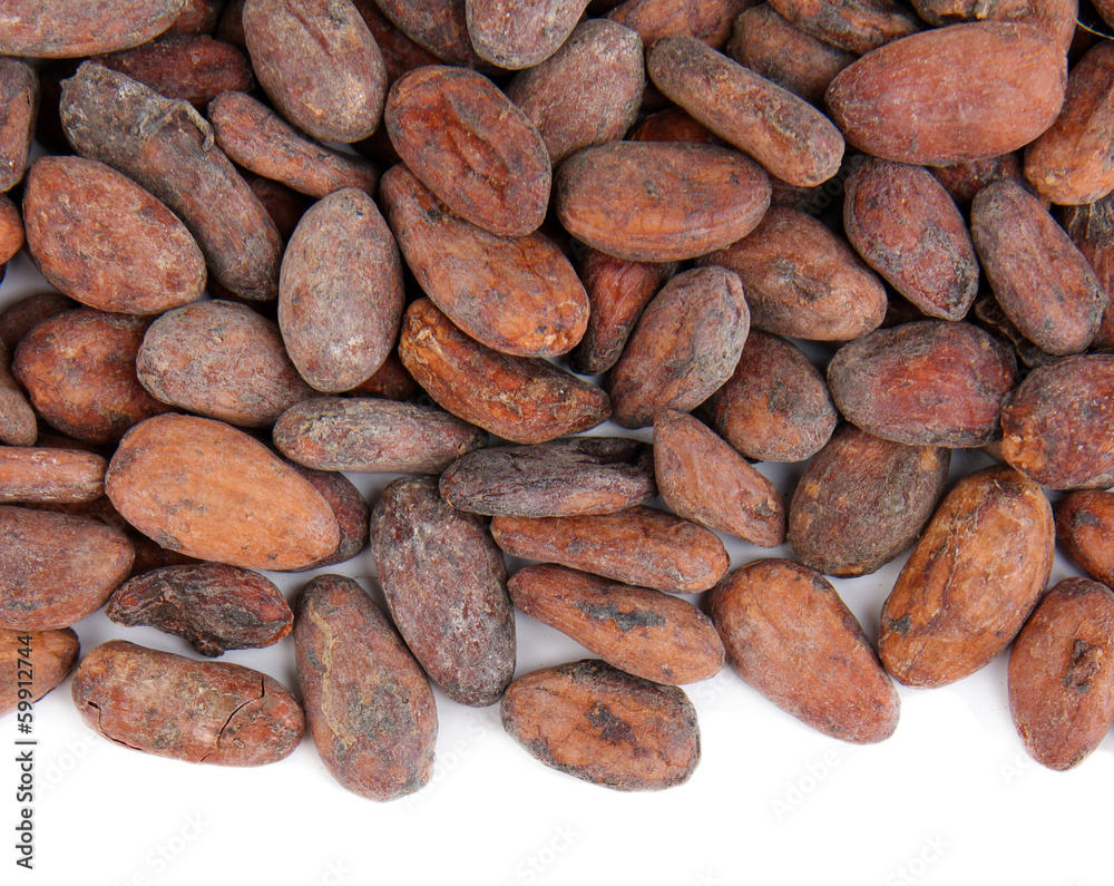 Cocoa beans isolated on white