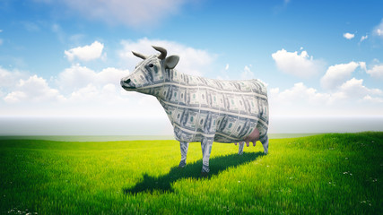 Cash Cow