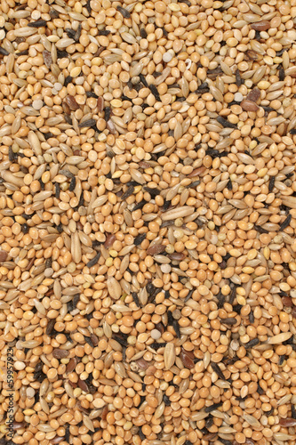 Fotografía Bird seed a mix of millet and other seeds