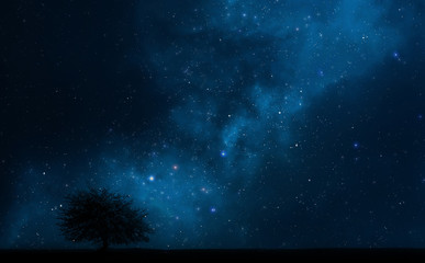 Wall Mural - night sky with a tree and milky way