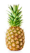 Ripe Pineapple With Green Leaves